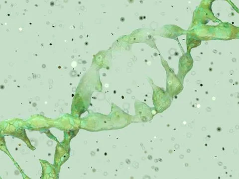 DNA chain. Abstract scientific background. 3D rendering Stock Photos