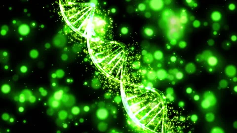 Dna chain atoms motion particle loop animation Vídeos de archivo 149302177