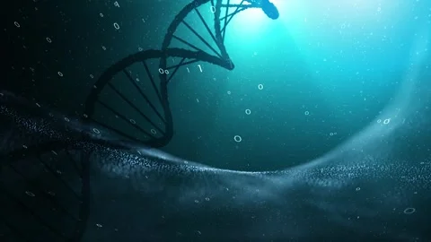Dna chain with binary numbers animation Stock Footage 337570490