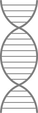 DNA chain icon on a white background. Stock-Illustration