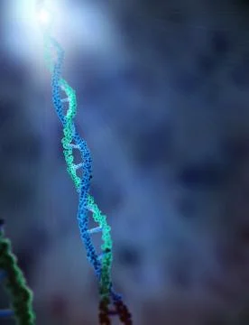 DNA chain Illustrazione stock