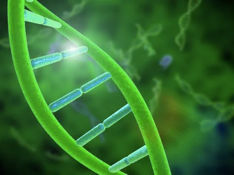 DNA chain Illustrazione stock