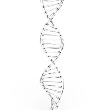 DNA Chain Illustrazione stock