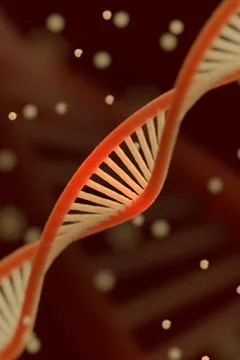 DNA chain macroshot 스톡 일러스트