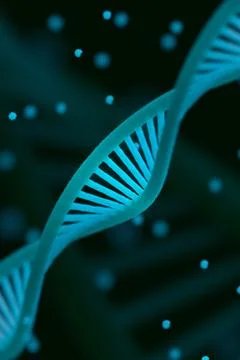 DNA chain macroshot Stock Illustration