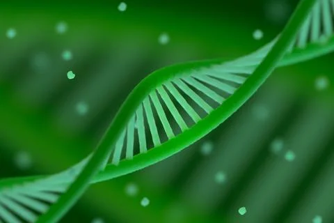 DNA chain macroshot Stock Illustration