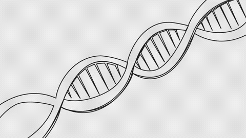 DNA chain one line Stock Footage 165158305