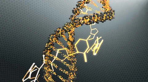 DNA chain rotates in a gray space Video stock 35058244