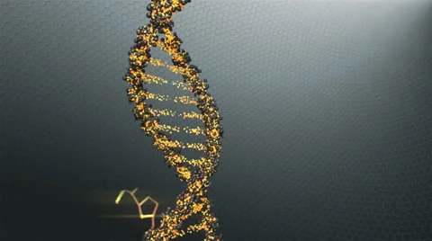 DNA chain rotates in a gray space, loop Video stock 35058251