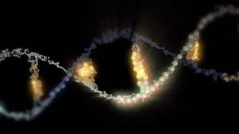 The DNA chain rotates in a helix. Stock Footage 307993675