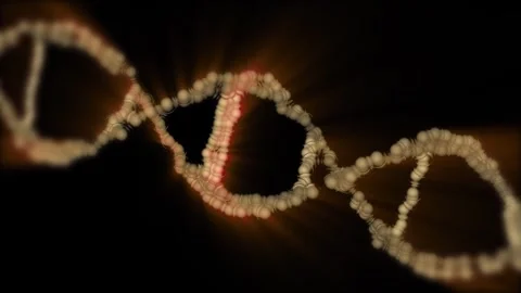 The DNA chain rotates in a helix. Stock Footage 307994059