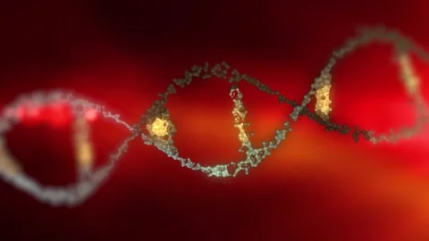 The DNA chain rotates in a helix. Stock Footage 307995878
