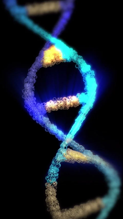 The DNA chain rotates in a helix. Stock Footage 307995879