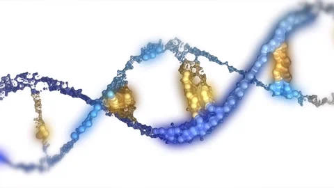 The DNA chain rotates in a helix. Stock Footage 307996067