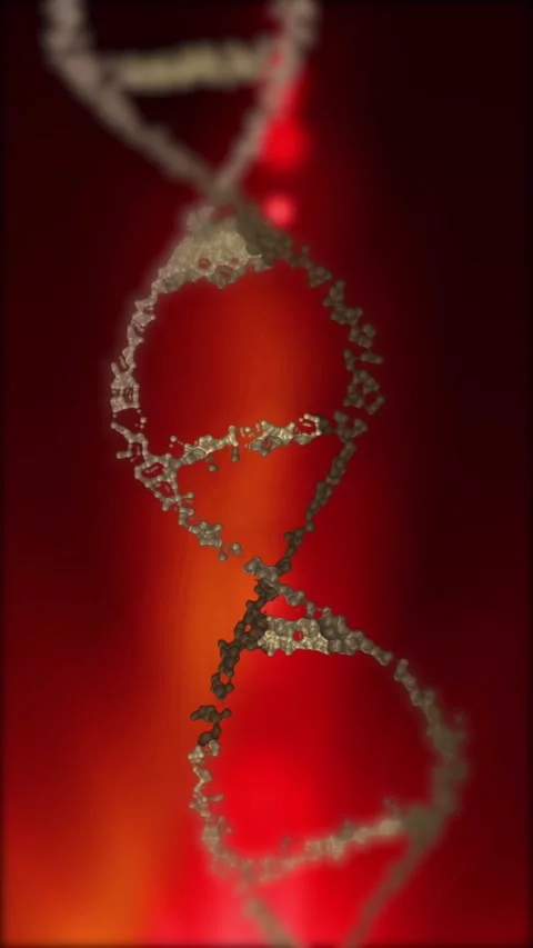 The DNA chain rotates in a helix. Stock Footage 307996072