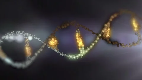 The DNA chain rotates in a helix. Stock Footage 307996714
