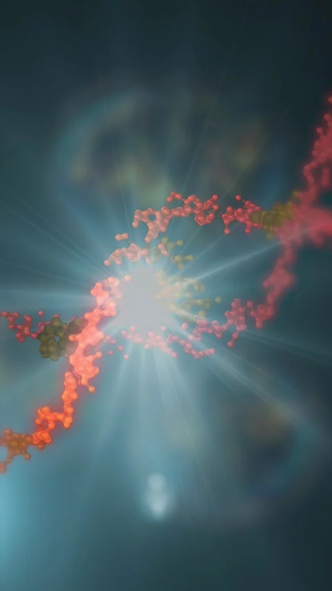 The DNA chain rotates in a helix. Stock Footage 307997188