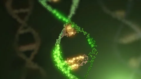 The DNA chain rotates in a helix. Stock Footage 307997563