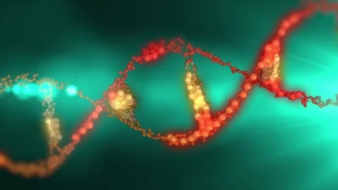 The DNA chain rotates in a helix. Stock Footage 307997628