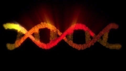 The DNA chain rotates in a helix. Stock Footage 308348925