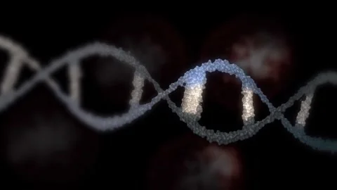 The DNA chain rotates in a helix. Stock Footage 308349098