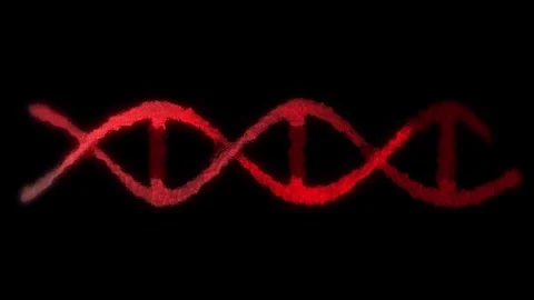 The DNA chain rotates in a helix. Stock Footage 308349158