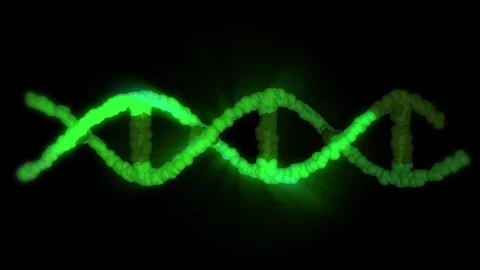 The DNA chain rotates in a helix. Stock Footage 308349167