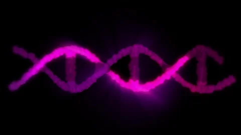 The DNA chain rotates in a helix. Stock Footage 308349321