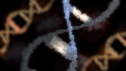 The DNA chain rotates in a helix. Stock Footage 308349370