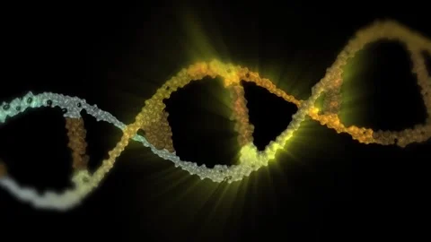 The DNA chain rotates in a helix. Stock Footage 308349521