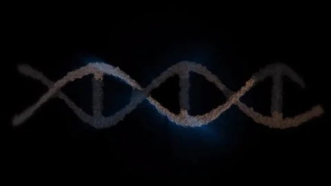 The DNA chain rotates in a helix. Stock Footage 308349741