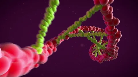 DNA chain rotating loop Stock Footage 85821134
