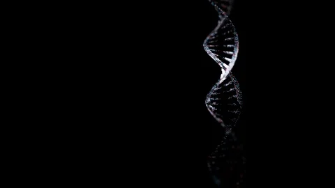 Dna chain structure Stock Footage 95431420