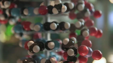DNA chain structure model. Biotechnology and microbiology  at the science Stock Footage 161802352