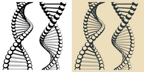 DNA chains illustrations Stock Illustration