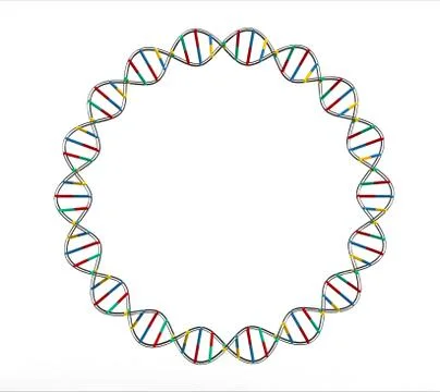 DNA circle Stock Illustration