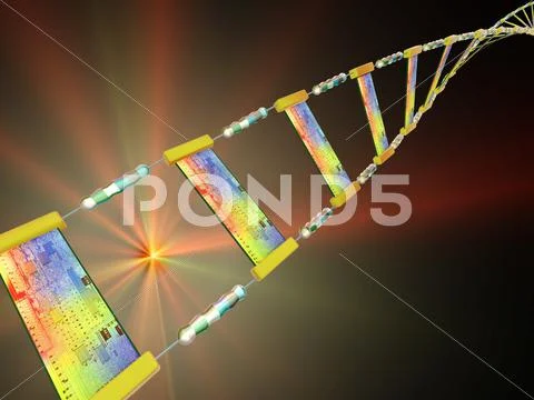Dna circuitry strand, conceptual artwork Stock Illustration