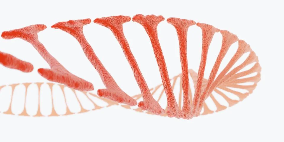DNA close-up concept in front of white background biology technology 3d render Stock Illustration