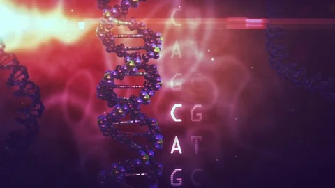 DNA Close-up Language Abstract Видео 74389021