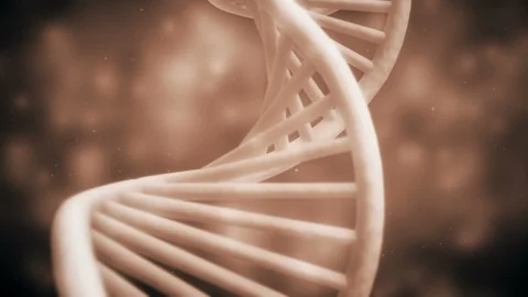 DNA closeup of a Double Helix of Deoxyribonucleic Acid Stock Footage 89007694