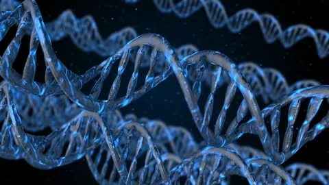 DNA code. Abstract 3d polygonal wireframe DNA. Loop animation Stock Footage 114245390