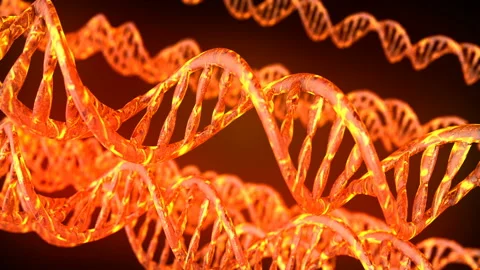 DNA code. Abstract 3d polygonal wireframe DNA. Loop animation Stock Footage 114245698