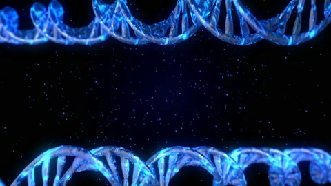 DNA code. Abstract 3d polygonal wireframe DNA. Loop animation Stock Footage 114246159