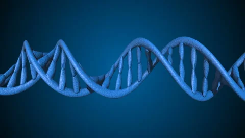 DNA code. Abstract 3d polygonal wireframe DNA. Loop animation Stock Footage 114247458