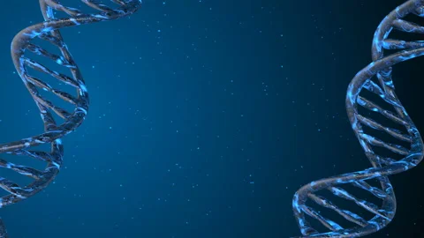 DNA code. Abstract 3d polygonal wireframe DNA. Loop animation Stock Footage 114247793