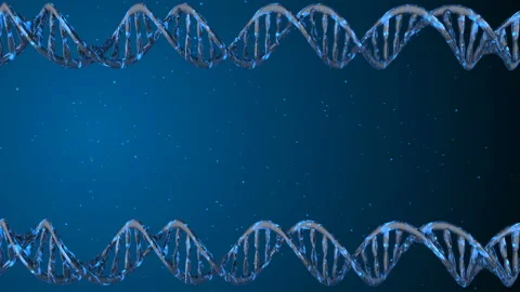 DNA code. Abstract 3d polygonal wireframe DNA. Loop animation Stock Footage 114247846