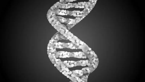DNA code. Abstract 3d polygonal wireframe DNA. Loop animation Stock Footage 114248311