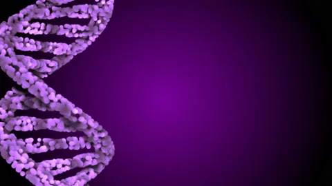 DNA code. Abstract 3d polygonal wireframe DNA. Loop animation Stock Footage 114248495