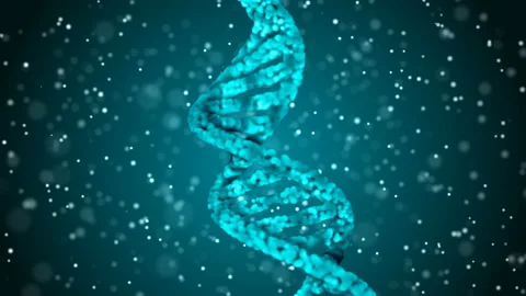DNA code. Abstract 3d polygonal wireframe DNA. Loop animation Stock Footage 114248604