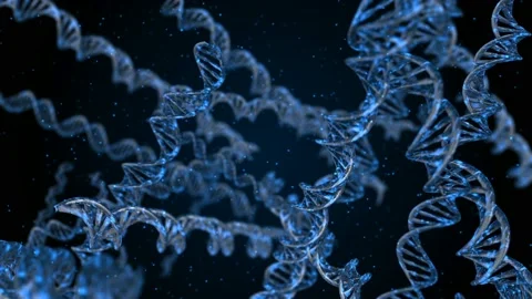 DNA code. Abstract 3d polygonal wireframe DNA. Loop animation Stock Footage 114248901